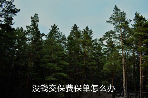 保險(xiǎn)費(fèi)交不起該怎么辦，社保沒錢交怎么辦