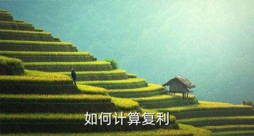 計算器復利怎么算，如何計算復利
