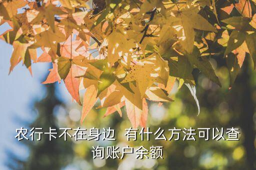 農(nóng)行卡沒帶怎么查余額，農(nóng)業(yè)銀行卡號(hào)忘記了怎么查詢余額
