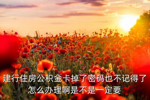 建行住房公積金卡掉了密碼也不記得了怎么辦理啊是不是一定要