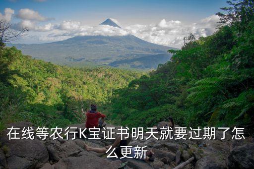 在線等農(nóng)行K寶證書明天就要過期了怎么更新