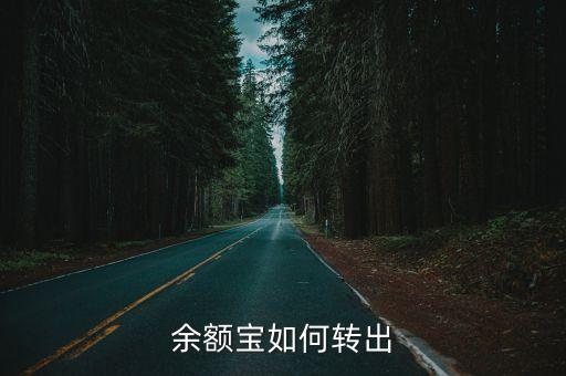 余額寶中的錢怎么轉(zhuǎn)出來嗎，余額寶里的錢怎么轉(zhuǎn)出來
