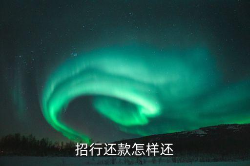 招商銀行貸款 怎么還款方式，招商銀行e貸款怎么還款