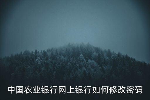 網上農行怎么改密碼，農業(yè)銀行網銀如何改密碼