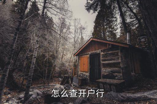怎么查開戶行