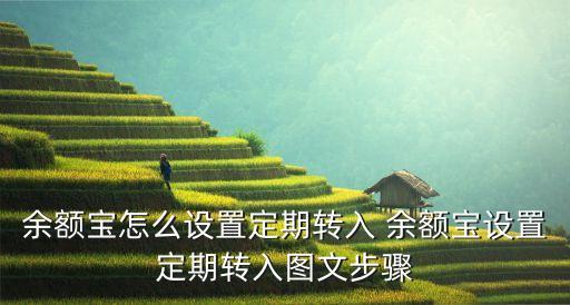 余額寶怎么定期，余額寶怎么設(shè)置定期轉(zhuǎn)入 余額寶設(shè)置定期轉(zhuǎn)入圖文步驟