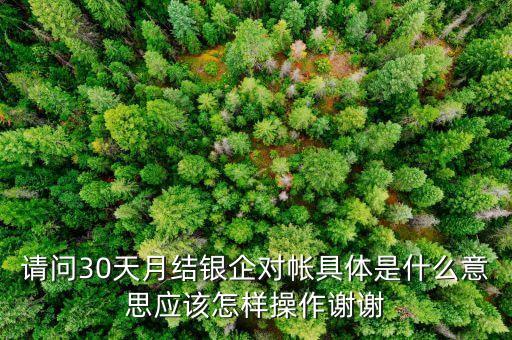 請問30天月結(jié)銀企對帳具體是什么意思應(yīng)該怎樣操作謝謝