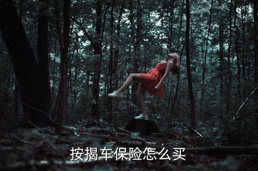 按揭車保險怎么買