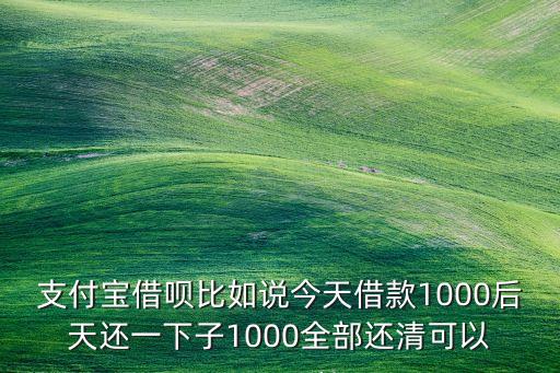 借唄一次性還清怎么算，你好我借了借唄31500一個(gè)月現(xiàn)在想本金全部還掉 請(qǐng)問我要付多少