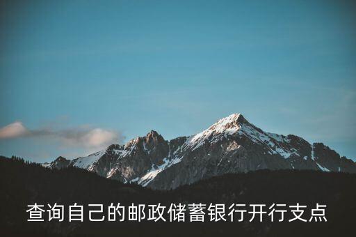 查詢自己的郵政儲(chǔ)蓄銀行開行支點(diǎn)