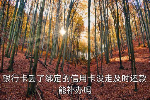 銀行卡丟了綁定的信用卡沒(méi)走及時(shí)還款能補(bǔ)辦嗎