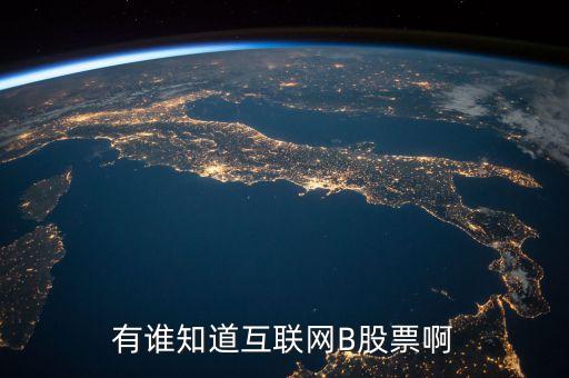 互聯(lián)網(wǎng)b 怎么買，有誰知道互聯(lián)網(wǎng)B股票啊