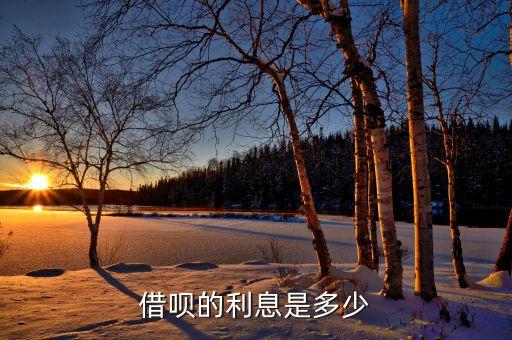 借唄的利息是多少