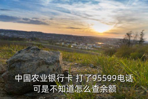 95599怎么查詢，中國農(nóng)業(yè)銀行卡 打了95599電話 可是不知道怎么查余額