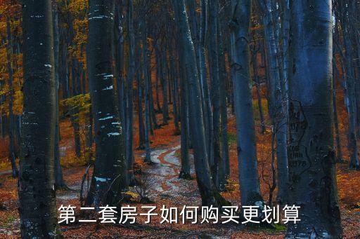 二套房怎么買劃算，怎么購(gòu)買二套房 請(qǐng)磚家?guī)兔獯?謝謝