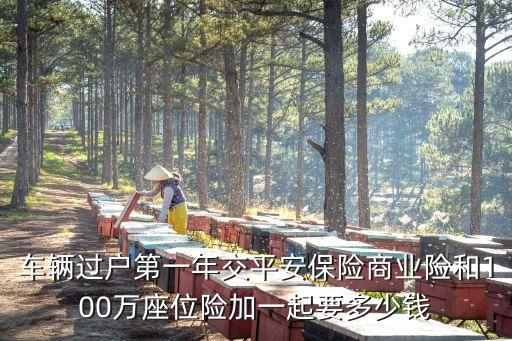 車輛過戶第一年交平安保險(xiǎn)商業(yè)險(xiǎn)和100萬座位險(xiǎn)加一起要多少錢
