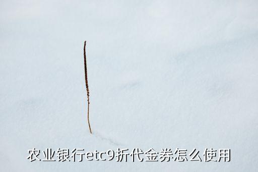 農(nóng)業(yè)銀行etc9折代金券怎么使用