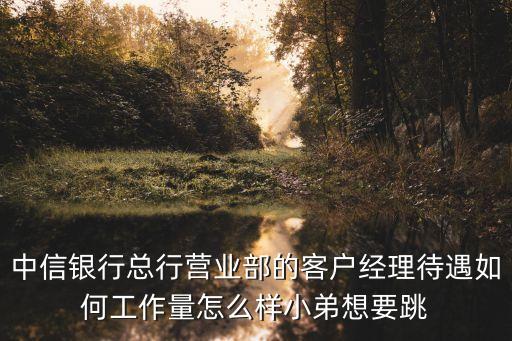 中信銀行總行營業(yè)部的客戶經(jīng)理待遇如何工作量怎么樣小弟想要跳