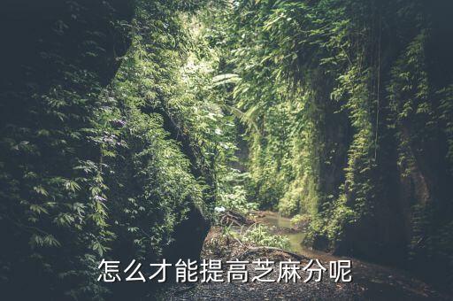 怎么才能提高芝麻分呢