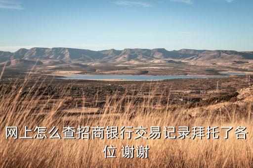 網(wǎng)上怎么查招商銀行交易記錄拜托了各位 謝謝