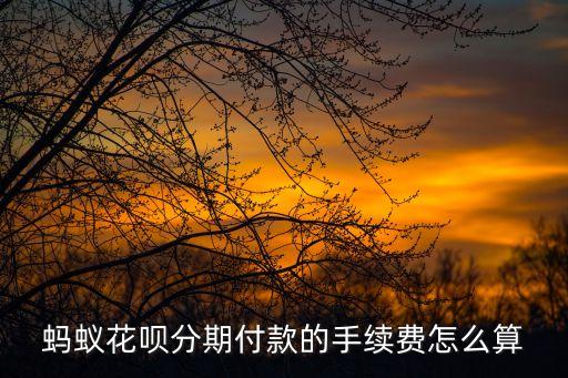 花唄分期的費率怎么算的，螞蟻花唄分期付款的手續(xù)費怎么算