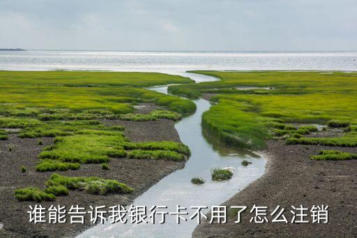 誰能告訴我銀行卡不用了怎么注銷