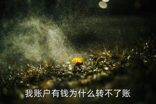 我賬戶有錢為什么轉(zhuǎn)不了賬