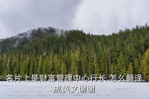 名片上是財(cái)富管理中心行長(zhǎng) 怎么翻譯成英文謝謝