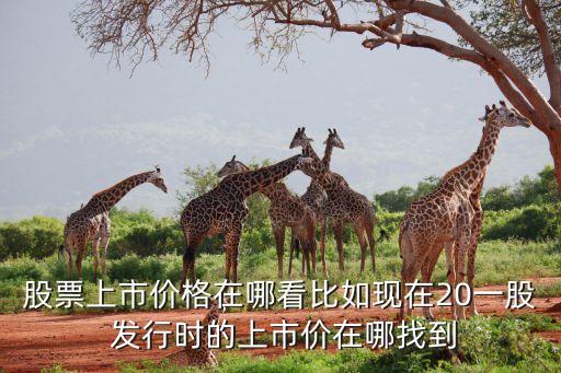 股票上市價格在哪看比如現(xiàn)在20一股 發(fā)行時的上市價在哪找到