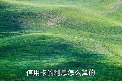 信用卡月利息怎么算利息，信用卡利息是怎么算的