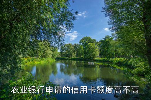 農(nóng)業(yè)銀行申請(qǐng)的信用卡額度高不高