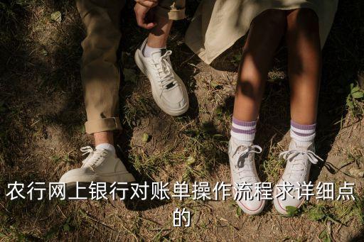 農(nóng)行網(wǎng)上銀行對賬單操作流程求詳細(xì)點(diǎn)的