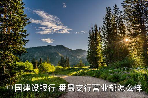 中國建設(shè)銀行 番禺支行營業(yè)部怎么樣