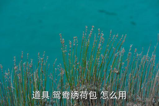 道具 鴛鴦繡荷包 怎么用