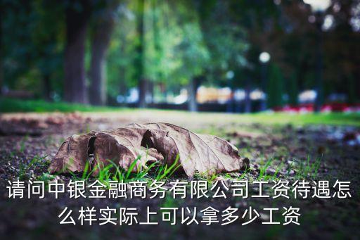 請(qǐng)問中銀金融商務(wù)有限公司工資待遇怎么樣實(shí)際上可以拿多少工資