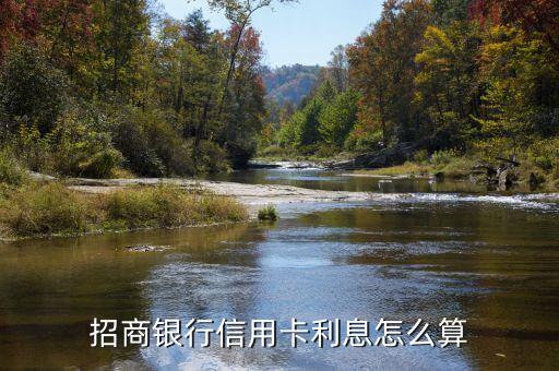 招商銀行信用卡利息怎么算