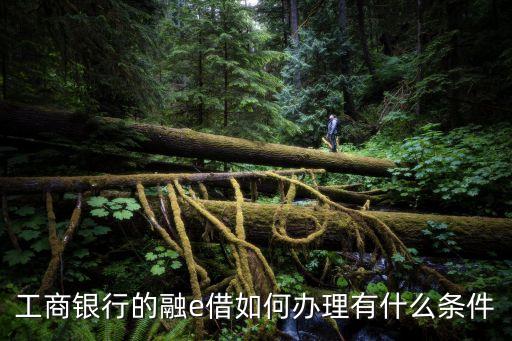 工商銀行融e借怎么申請，工商銀行的融e借如何辦理有什么條件