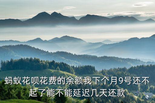 螞蟻花唄花費的余額我下個月9號還不起了能不能延遲幾天還款