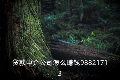 小貸 中介 怎么賺錢，貸款中介公司怎么賺錢98821713