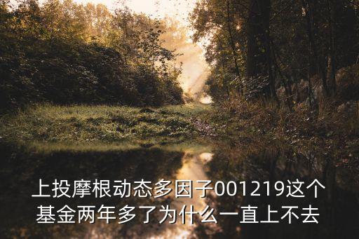 上投優(yōu)選多因子 怎么樣，多因子策略 通過ic值判斷是否有效