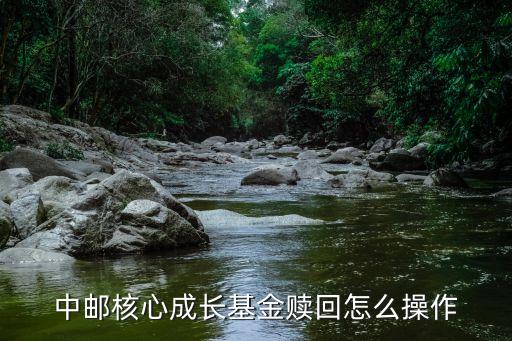 161720怎么贖回，海通如何場內(nèi)贖回161022母基金 海通手機(jī)客戶端如何操作