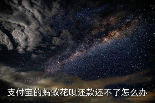 支付寶的螞蟻花唄還款還不了怎么辦