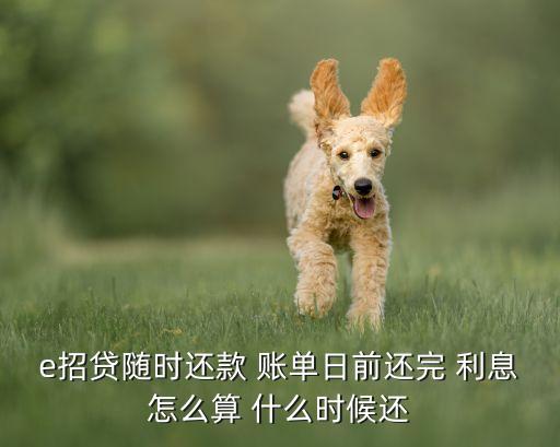 e招貨還款 利息怎么算的，招行e招貸利息比如1萬(wàn)元那么他一個(gè)月的利息是多少
