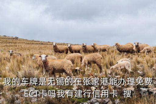 無錫etc信用卡怎么辦，我的車牌是無錫的在張家港能辦理免費ECT卡嗎我有建行信用卡  搜