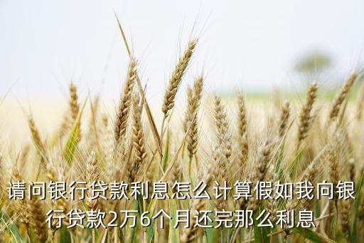 請問銀行貸款利息怎么計算假如我向銀行貸款2萬6個月還完那么利息