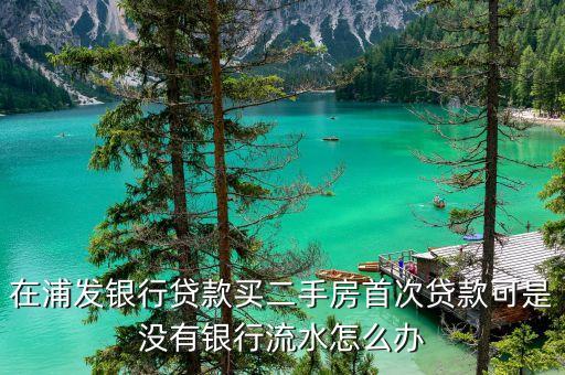 在浦發(fā)銀行貸款買二手房首次貸款可是沒有銀行流水怎么辦
