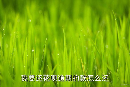 我要還花唄逾期的款怎么還