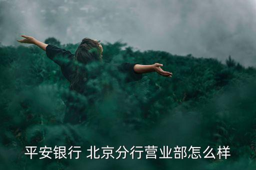 平安銀行柜臺(tái)怎么樣，平安銀行 北京分行營(yíng)業(yè)部怎么樣