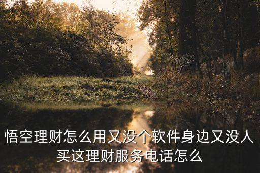 悟空理財(cái)怎么用又沒(méi)個(gè)軟件身邊又沒(méi)人買(mǎi)這理財(cái)服務(wù)電話怎么