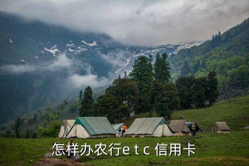 怎樣辦農(nóng)行e t c 信用卡